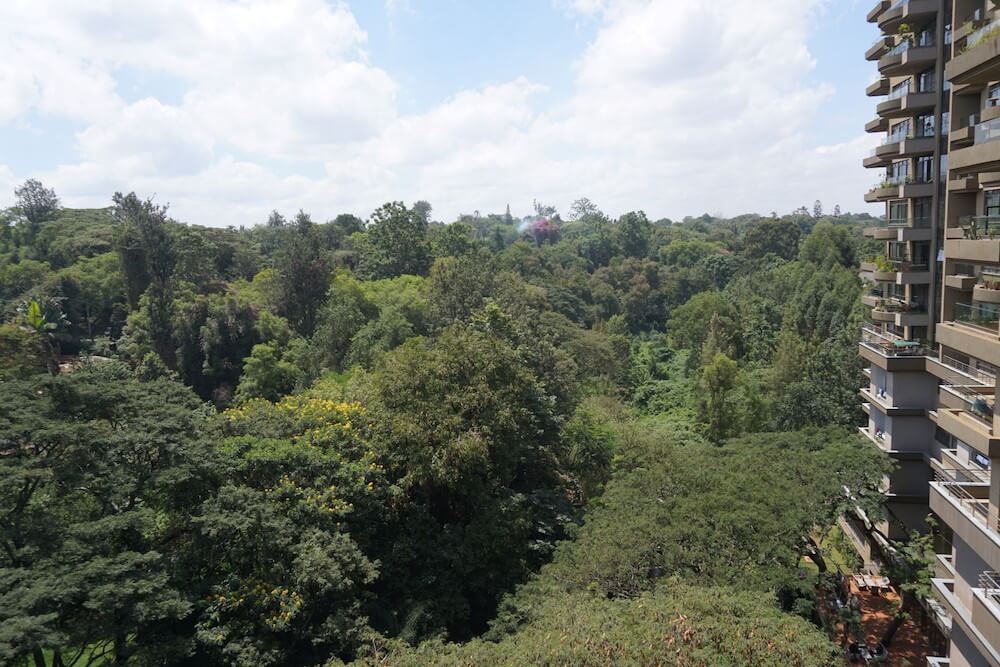ケニアの自宅前の風景　くらしと仕事