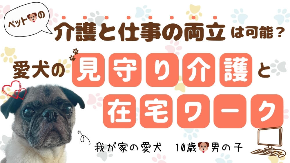 ペットの介護と仕事の両立は可能？愛犬の見守り介護と在宅ワーク　くらしと仕事