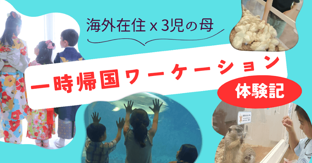 【ワーケーション体験記】フルリモートだから実現できる一時帰国と仕事の両立　くらしと仕事